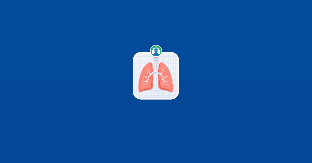 Fundamentals of Respiratory Care Vector Image Fundamentals of Respiratory Care Vector Image