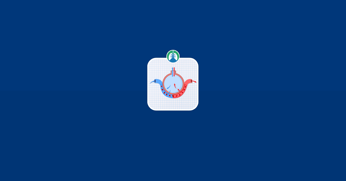 Oxygenation Illustration Infographic Image