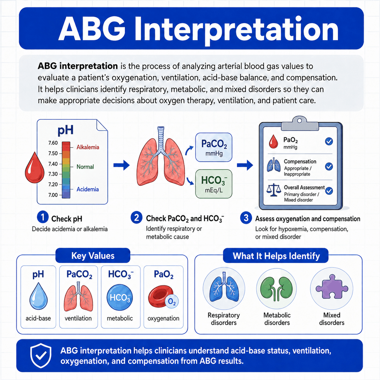 ABG Interpretation Image Illustration Infographic