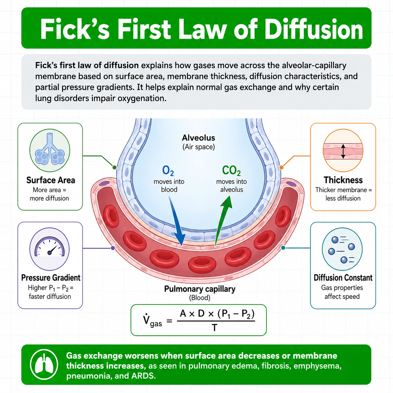 Fick’s Law of Diffusion and Pulmonary Gas Exchange