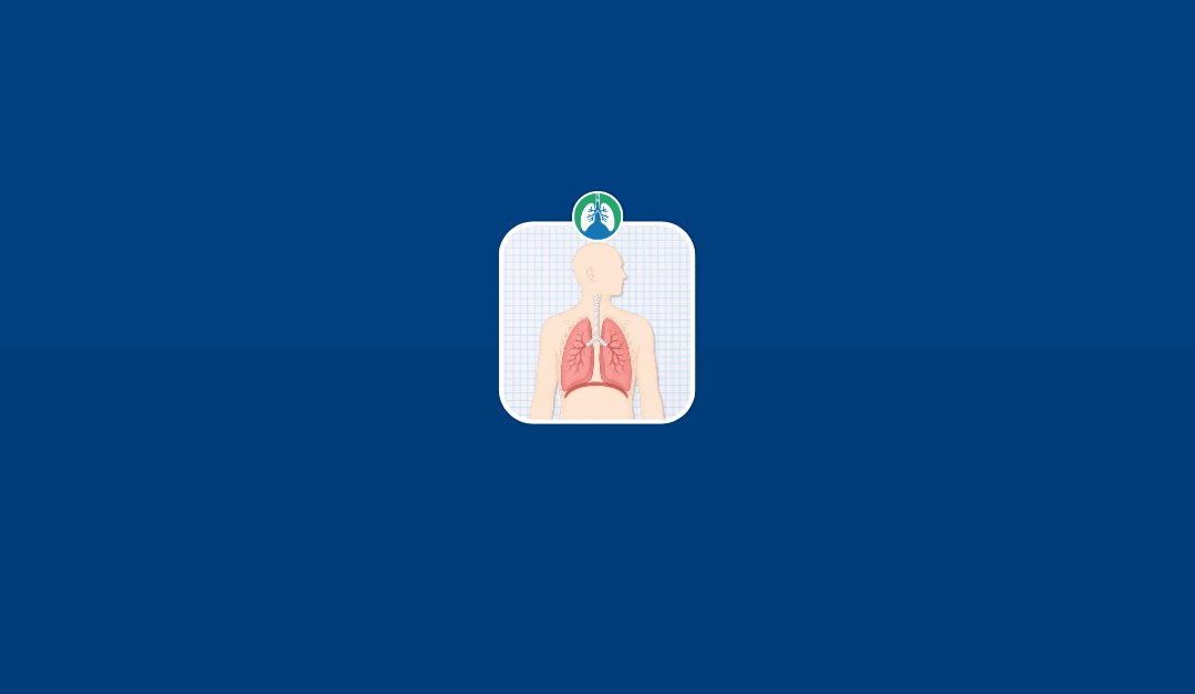 Eupnea: Normal Breathing Pattern and Clinical Assessment