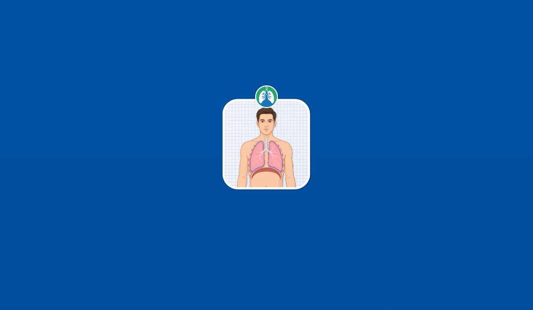 Pleura: Anatomy, Function, and Clinical Significance