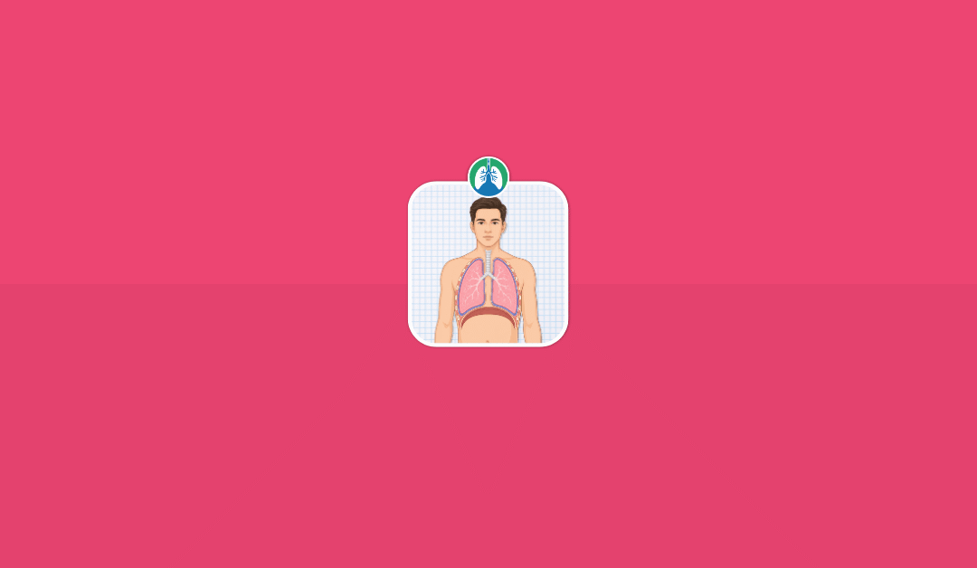 Visceral Pleura: Anatomy, Function, and Clinical Significance