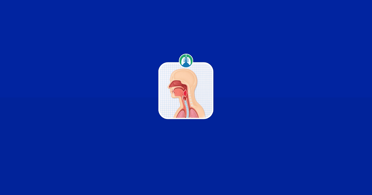 Epiglottitis Causes, Symptoms, Diagnosis, and Treatment Illustration Vector Epiglottitis Causes, Symptoms, Diagnosis, and Treatment Illustration Vector