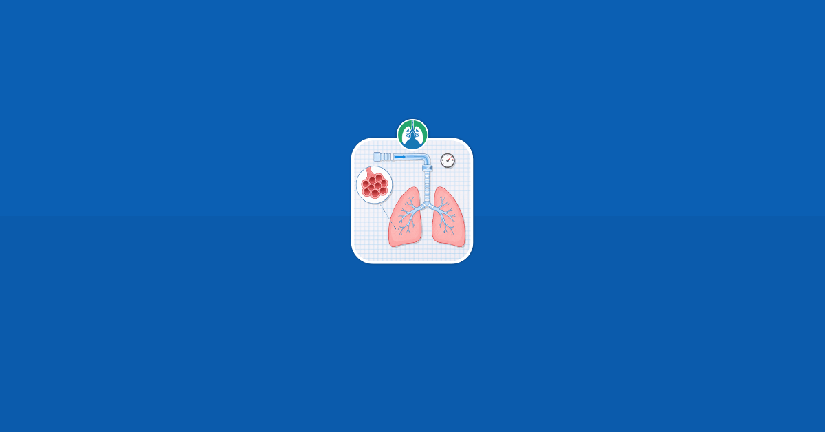 PEEP lungs Illustration Vector